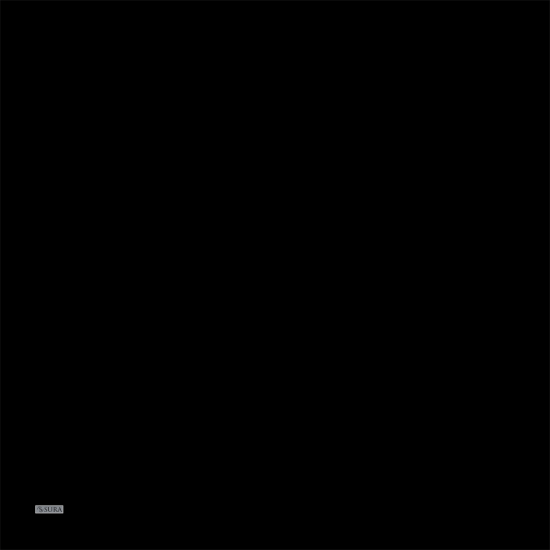 SURA 5415 TWİLL İPEK EŞARP
