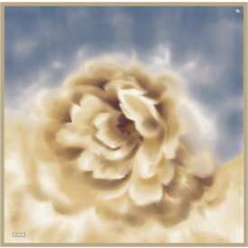 50ad9417-c22c-45bb-bbc9-66b10ef91eda.jpg