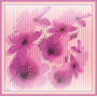 Armine Sura İpek Eşarp 24YA9100D01